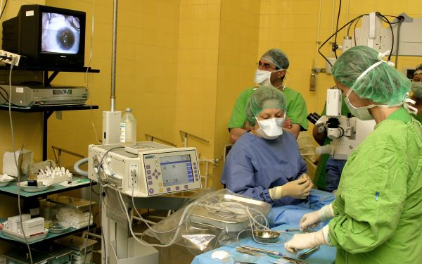 Rémhírkeltés a kórházról