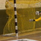 Újabb pontok a Green Petnél