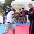 VI. Dunaújvárosi Sportválasztó és IV. Hangszerválasztó