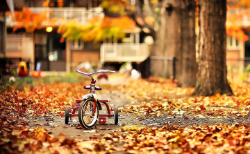 Senki sem parkol jó helyen?!