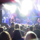 A hulláktól a pandán át a Biohazardig