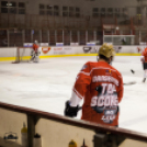 Dunaújvárosi Acélbikák 