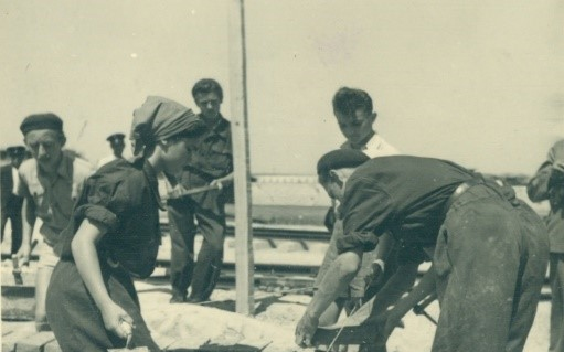 A múzeum egy felhívással fordul a városlakókhoz