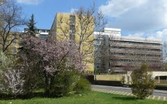 Mi lesz veled, Szent Pantaleon?