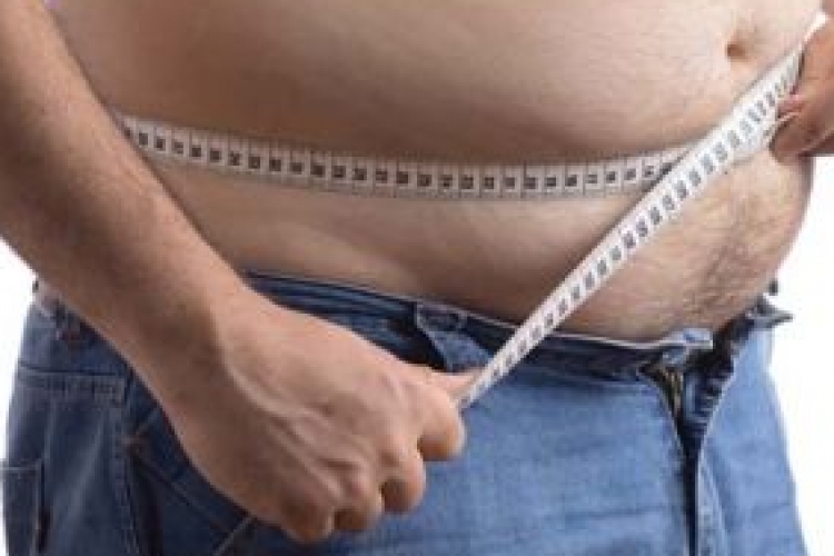Elhízást okozhat a bélbaktérium