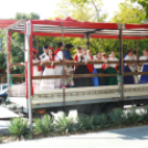 Szüreti felvonulás