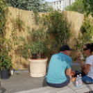 Majális a Városháza téren