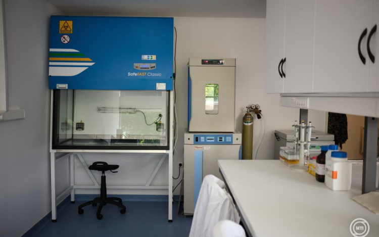 Új kutatóközpont nyílt Karikó Katalin támogatásával a Szegedi Tudományegyetemen