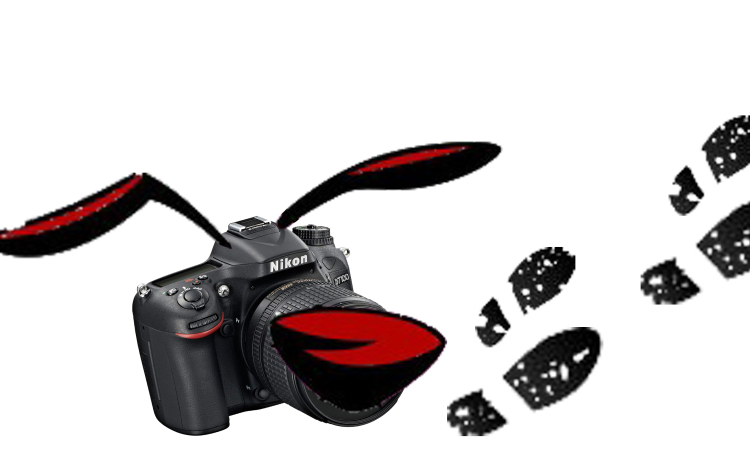 Tegnap elfogták, holnap bíróság elé áll a betörő