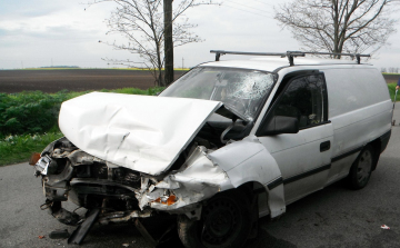 Kutyát is mentettek