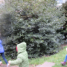 Nyuszis kézműves tábor az MMK-ban