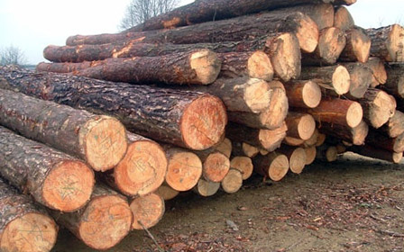 Jelentősen csökkent a tűzifa ára
