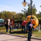 Rácalmás - tökön tök