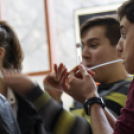 Dunaújváros iskolái