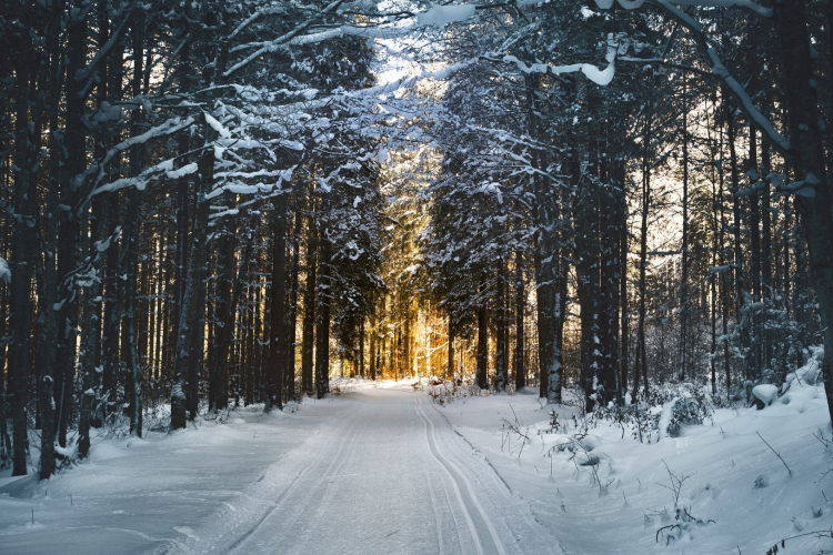 Gyermekversek a tél csodáiról