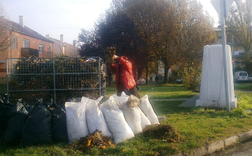A levél maradt, csak a zsákot vitte
