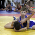 Gurics György birkózó emlék verseny