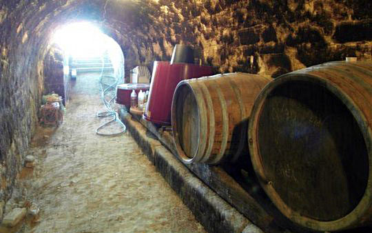 A borospincében lévő mustgáz, majdnem egy férfi halálát okozta