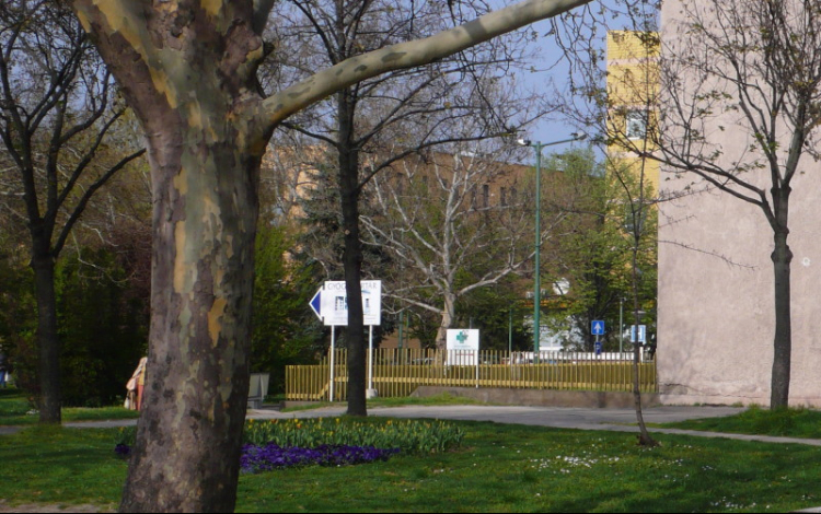 Ingyenes szűrés mindenkinek