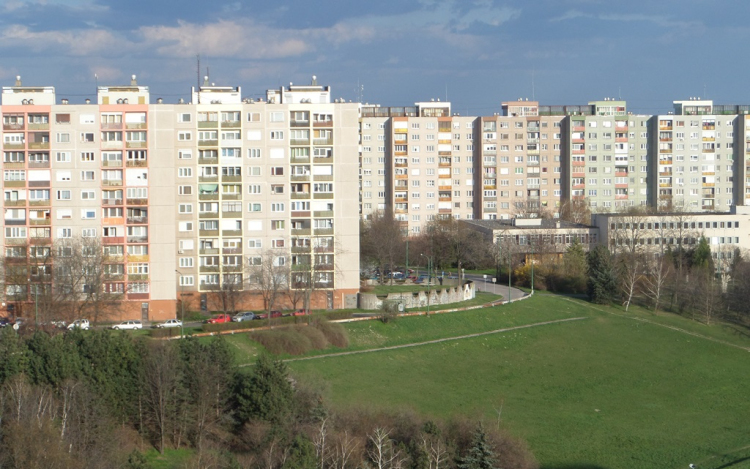 Adót kell fizetnünk!