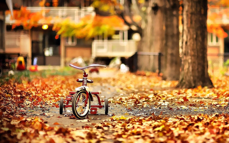 Senki sem parkol jó helyen?!