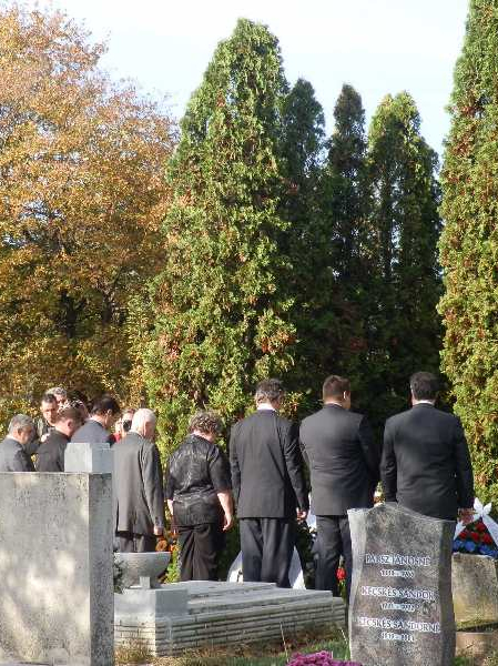 A közöny, ami  valódi kárt okoz- DSTV -videóval