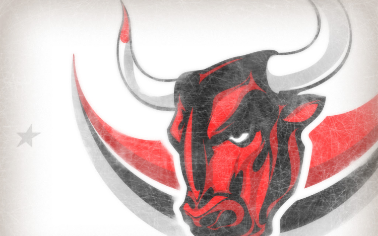 Drukkoljunk az Acélbikáknak