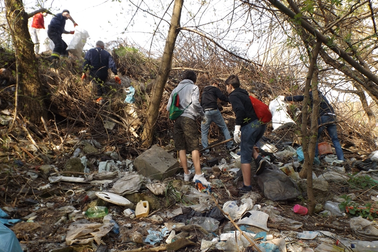 Megtisztították a Duna-partot