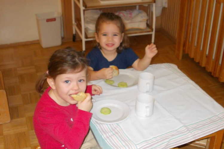 Zengő-bongó bölcsisek hétköznapjai