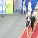 Pályaválasztás 2013