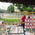 Megyenap városunkban