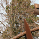 Séta a szoborparkban