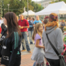 Pazar időben színes programok Szent Mihály napján