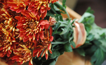 Az elmúlás virágai