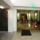 Negyven éves lett a Rudas