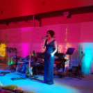 Kamara vállalkozói