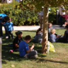 Rácalmás - tökön tök