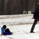 Szalki-szigeti korcsolyapálya