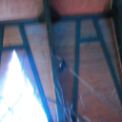 Hónap diákjai az állatkertben