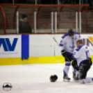 Dunaújvárosi Acélbikák 