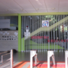 Hatvanéves a Dunaferr iskola