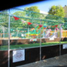 Ovifoci- pályaavató