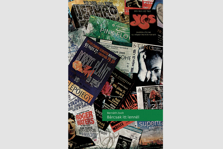 Bernáth Zsolt – Bárcsak itt lennél