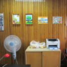 Mozgáskorlátozottak irodát avattak