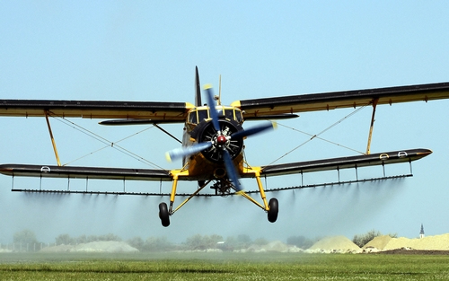 Szúnyoggyérítési program