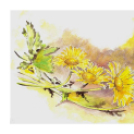 Képeket vegyenek az Arany iskoláért!