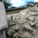 Hónap diákjai az állatkertben