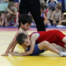 Gurics György birkózó emlék verseny