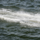 Motorcsónak két napon keresztül