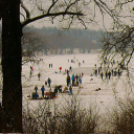 Szalki-szigeti korcsolyapálya